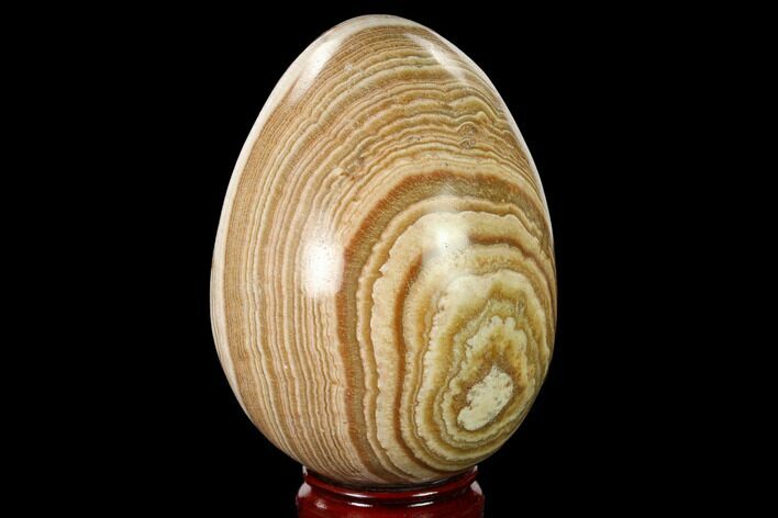 Polished, Banded Aragonite Egg - Morocco #161254
